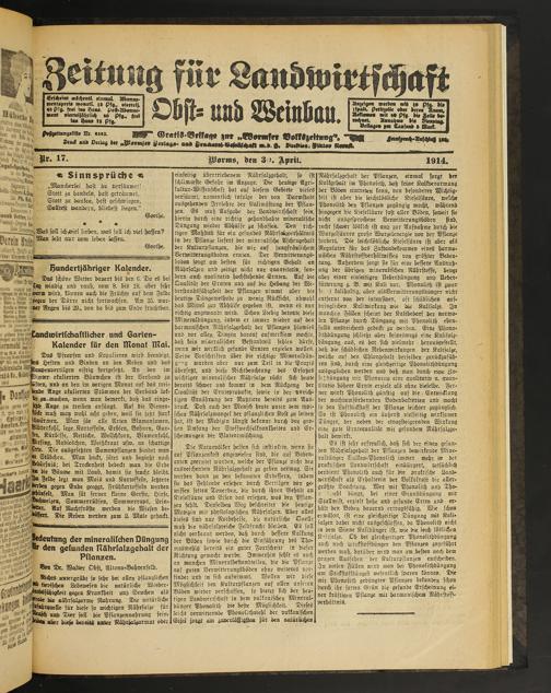 Zur Seitenansicht