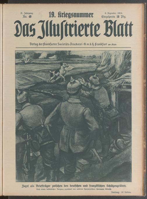 Zur Seitenansicht