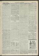 Seite 1919