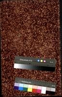 Seite 1505