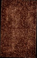 Seite 1513