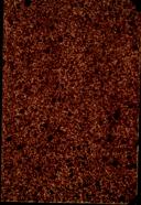 Seite 1381