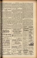Seite 51