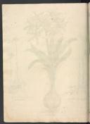 Seite 126