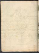 Seite 220