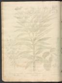Seite 264