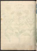 Seite 392