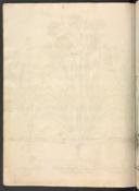 Page 598