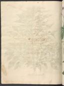 Page 650
