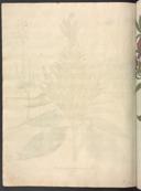 Page 652