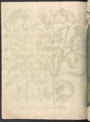 Page 654