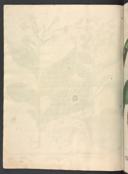 Page 658