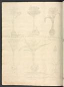 Page 674