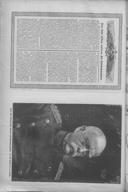 Seite 62