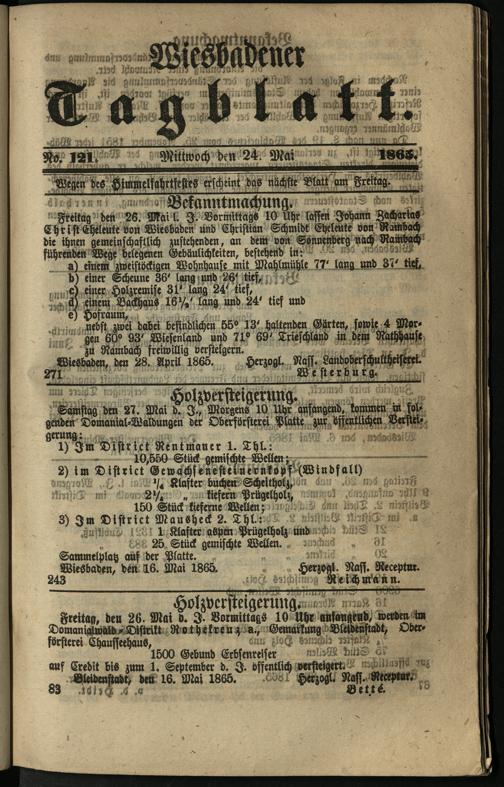 Zur Seitenansicht